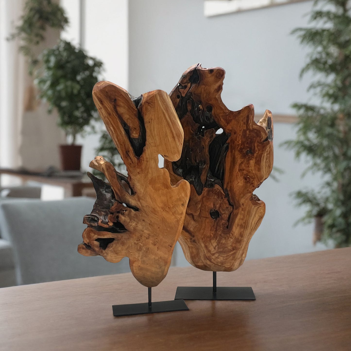 Natural Wood Abstract Sculpture-Big